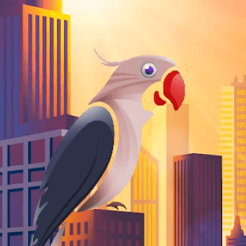 city parrot - NFT 아트